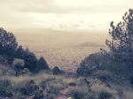 From The Top