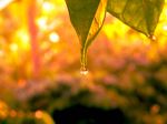 After Rain 
