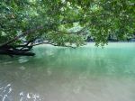 Lake Kissed A Tree