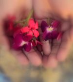 Carry The Nature With You