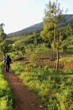 Mount Gede Pangrango