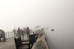 Into The Fog