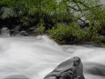 Clackamas River Waves