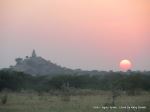 Beautiful Sunset