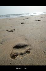 Footprint