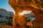 Creation Of Nature Window