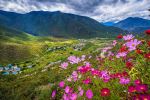 The Beauty Of China