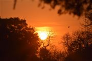 Dramatic Sunset