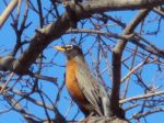 Spring Time 2012