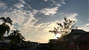 Cotton Candy Ft Morning Sunshine