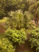 Refresh After Rain