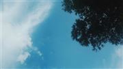 Blues