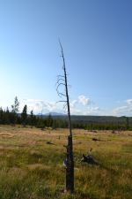 Out West