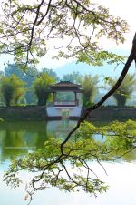 Peaceful View