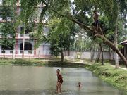 Children Jump In Water 