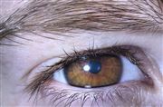 Beauty Of The Eye Colour