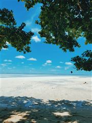 Low Tide