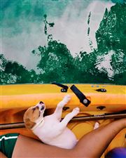 Puppy On Kayak