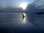 Fishing At Dawn