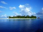 Deep Blue Sea 