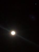 Scary Moon