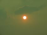 Sunny