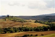 Tuscany In Spring