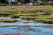 West Coast Nature Reserve 