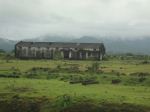 Greenary Of India