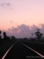 Track Of True Love