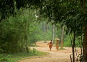 Day Out In A Village 