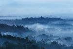 Morning In The Hills Stumbu