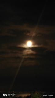 Bright Night