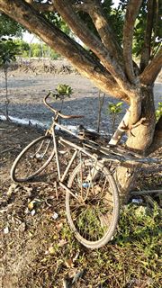 Lonely Bike