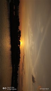 Shy Sun