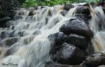 Pune