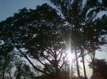 Beauty Of Sun Ray