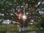 Beauty Of Sun Ray