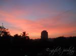 Colourful Evening