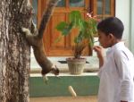 Wild Life And Kids Frendship
