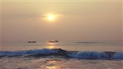 Sun Shine At Beach
