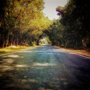 Beauty Of Nature