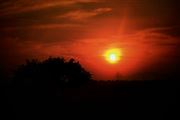 Sun Is Going To Sleep In The Lap Of Nature