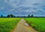 Road To Heaven