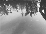 Reflection Of In Water