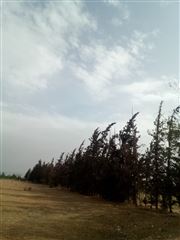 The Meaning Of Nature