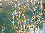 Sunlight Water