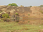 Mount River
