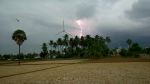 Nature Firework