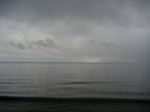 Gray See
